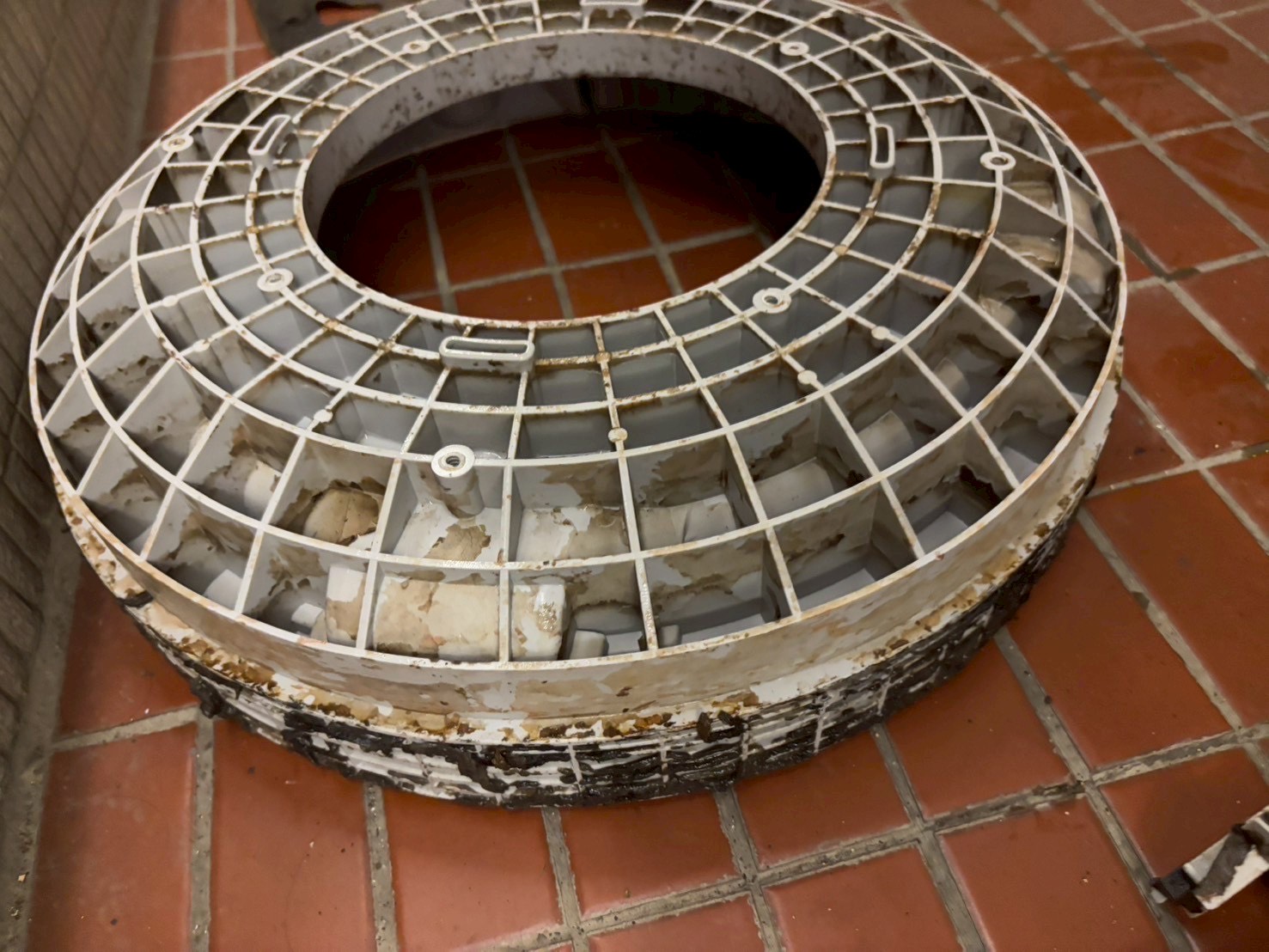 台中西屯區直立式洗衣機清洗一台