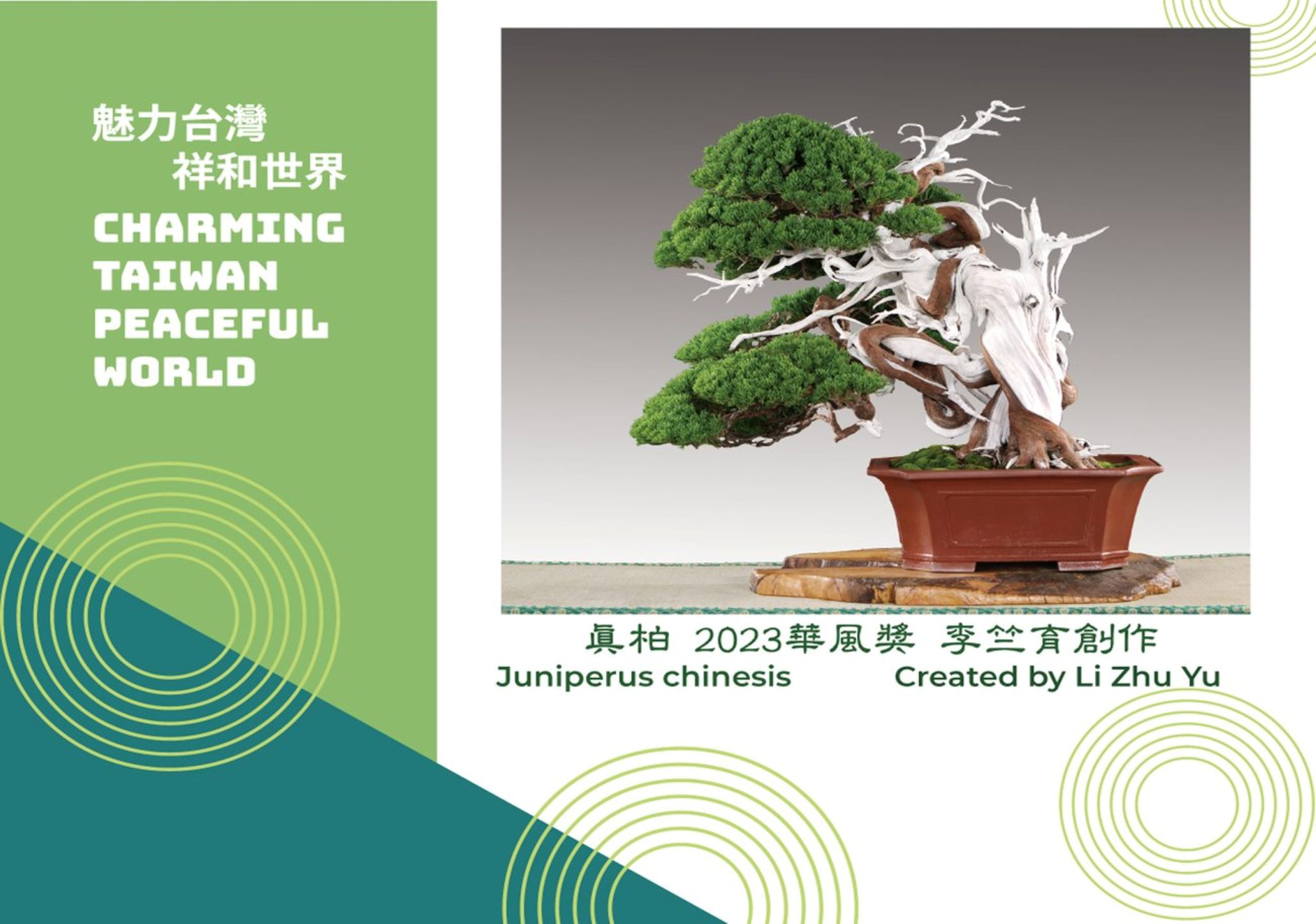 2025WBFF世界盆栽友好聯盟 2025WBC世界盆裁大會 企業官網 台中網頁設計 台中網站設計 彰化網站設計 彰化網頁設計 草屯網頁設計 草屯網站設計 南投網頁設計 南投網站設計 寇德網頁設計 寇德網路科技有限公司